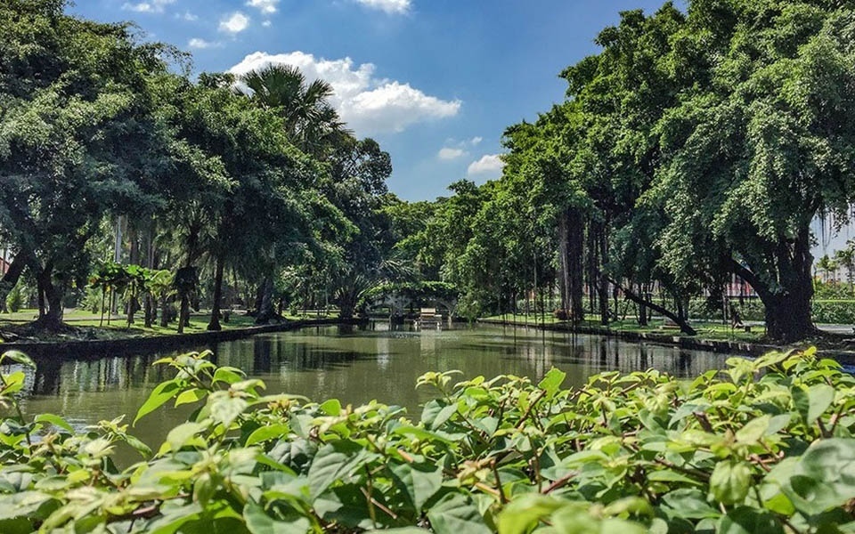 Bangkok verwandelt ein 86 hektar grosses grundstueck im oestlichen teil in einen sumpfwald park