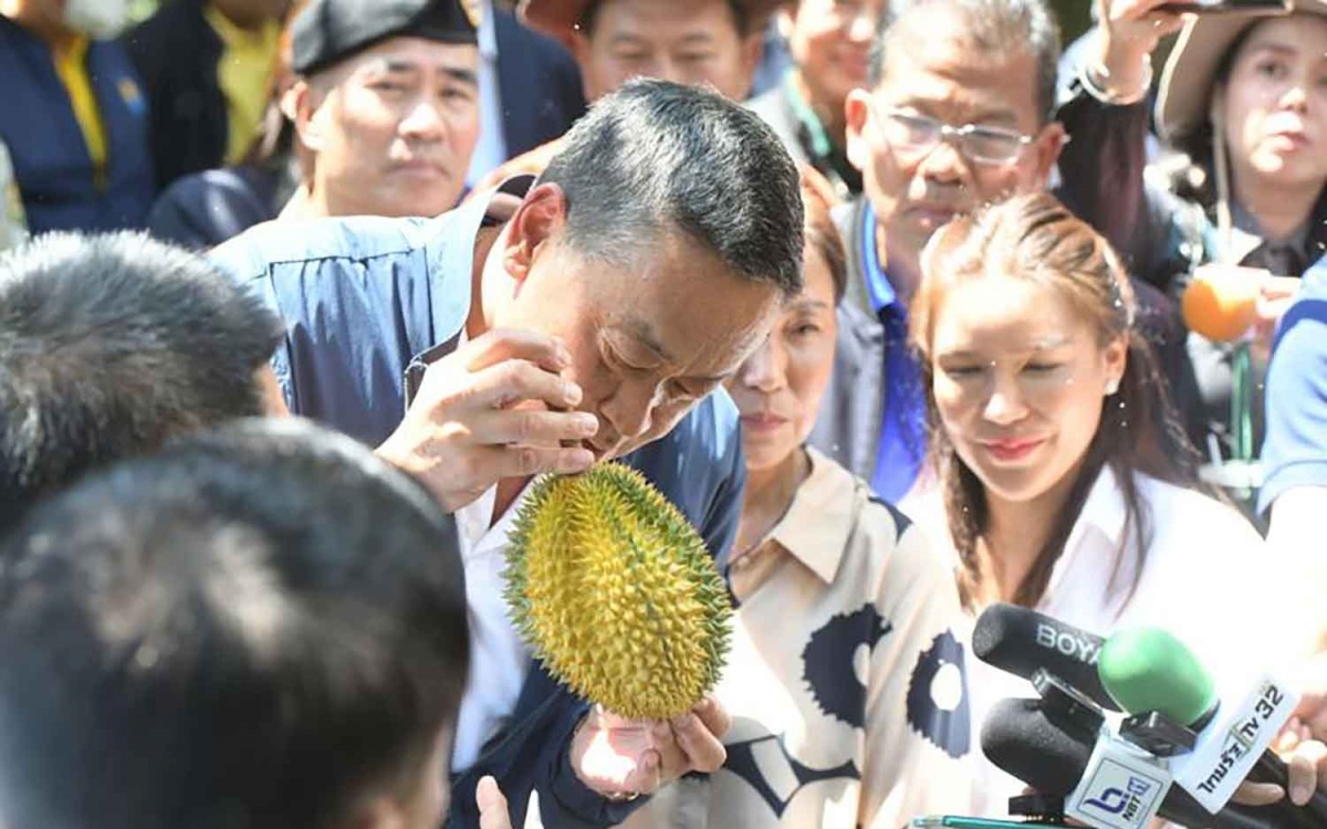 Die duerre setzt die durian bauern unter druck