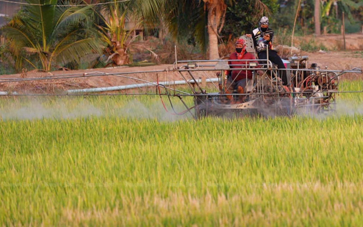 Reisproduzenten einigen sich auf neuen plan