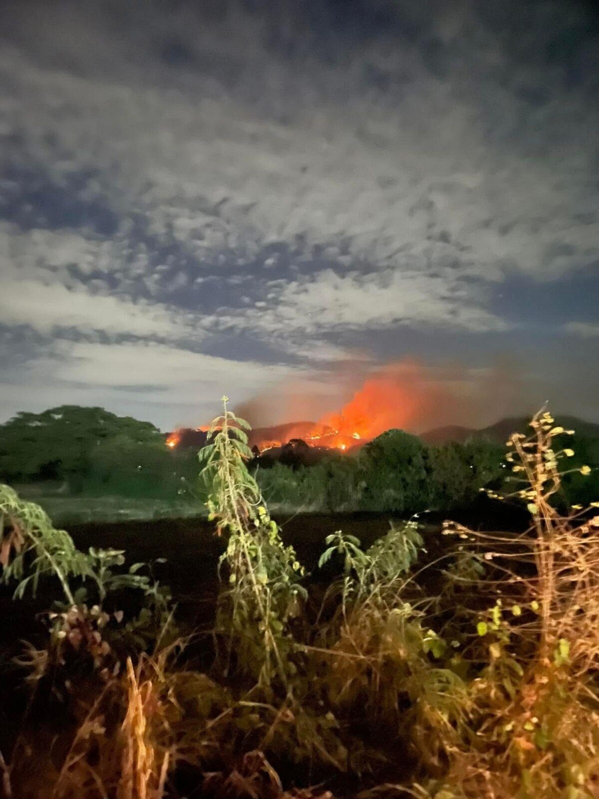 Besorgnis über Waldbrand in Pattaya: Kloster in Gefahr - Feuerwehreinsatz erforderlich