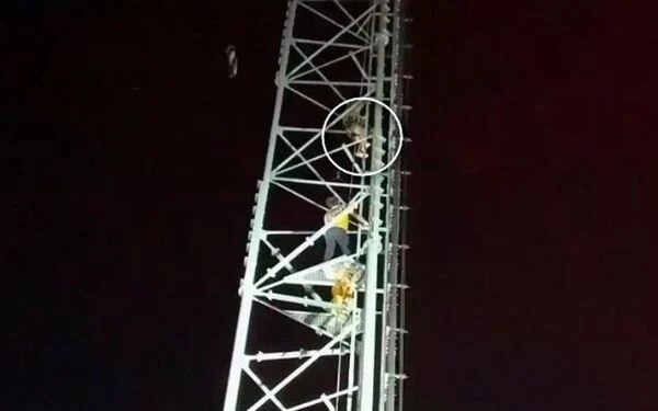 Frau klettert in ihrer verzweiflung ueber geldsorgen auf einen signalmast