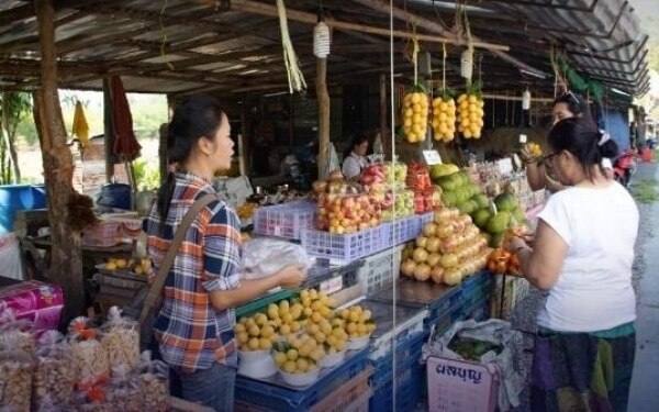 Mehr als 700 illegale auslaendische arbeitskraefte in thailands reservierten berufen aufgedeckt