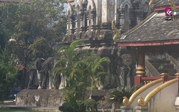 Sonnenbaden in sanam luang loest gemischte reaktionen aus