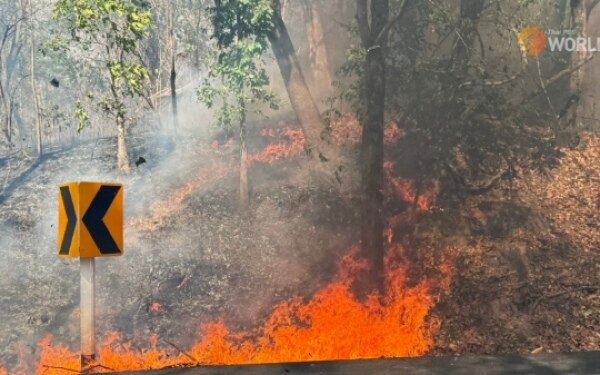 Waldbraende in chiang mai machten die stadt am samstag zur achtgroessten luftverschmutzung der welt