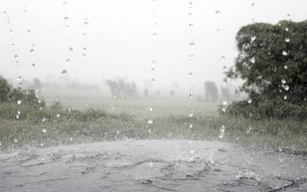 Starke regenschauer erwartet