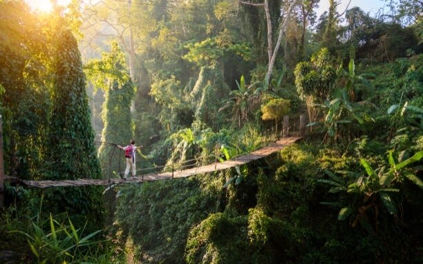 Was sie ueber die monsunzeit in thailand wissen muessen