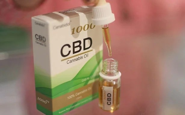 Thailändischer CBD-Markt steht vor 10 Mrd. Baht Verlusten