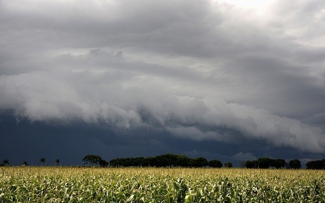 Das heutige wetter 24 juli 2024 die meteorologie warnt 30 provinzen vor einer