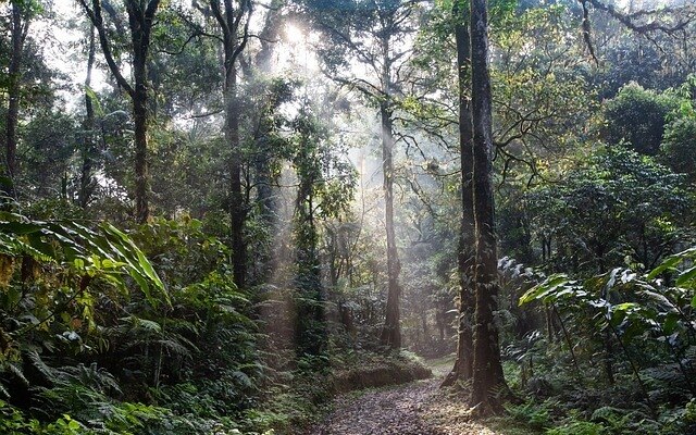 Rucksack und Schuhe eines vermissten Touristen am Berg Uttaradit gefunden