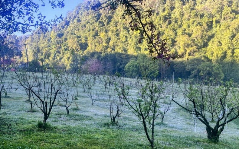 Kaeltewelle soll bis mitte februar anhalten la nina beeinflusst das wetter in thailand sommer wird