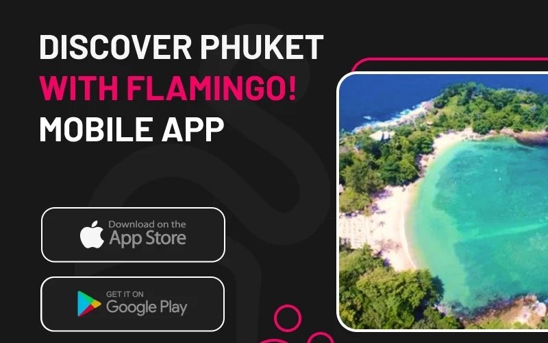 Flamingo die unverzichtbare mobile app die ihren urlaub in phuket veraendern wird