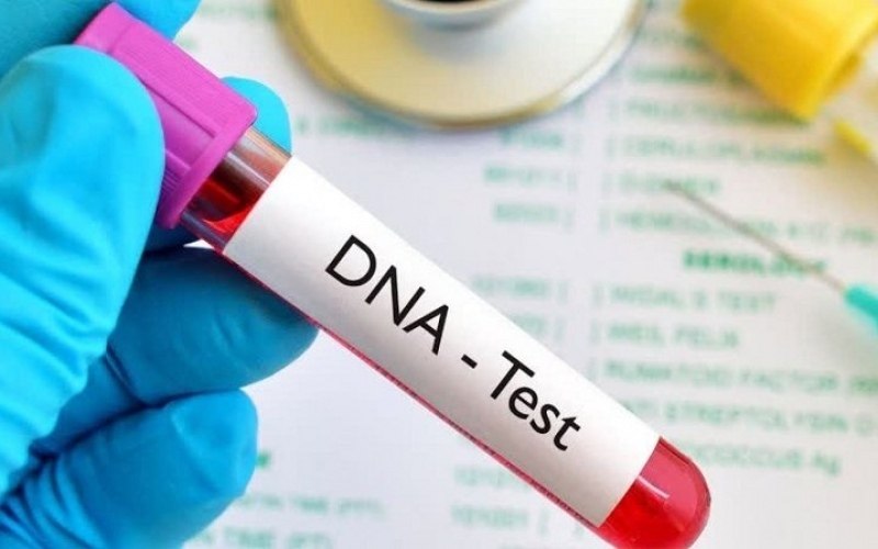 Neues dna testprogramm zur ueberpruefung der thailaendischen staatsbuergerschaft