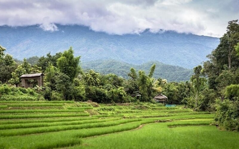 Wie wird sich der klimawandel auf die zukunft thailands auswirken