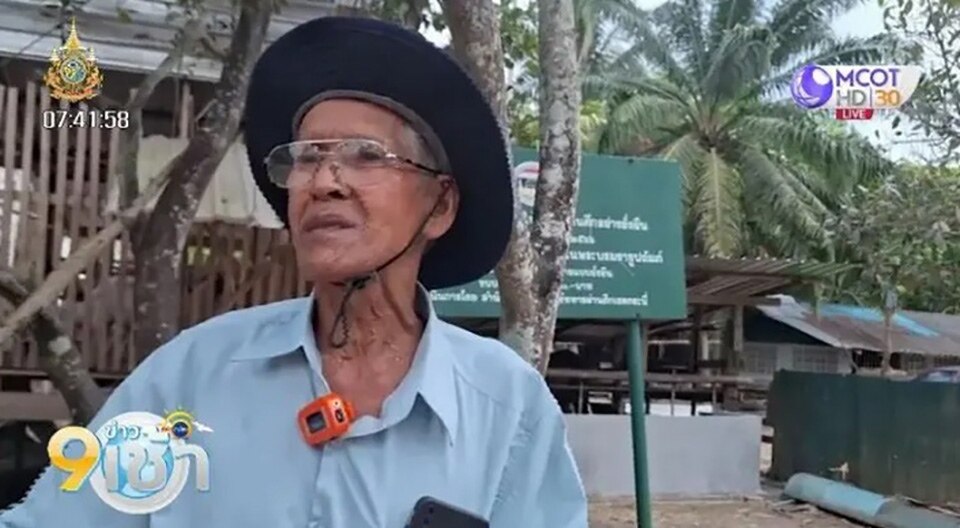 Ziegen im Cowboy-Kostüm in Trang