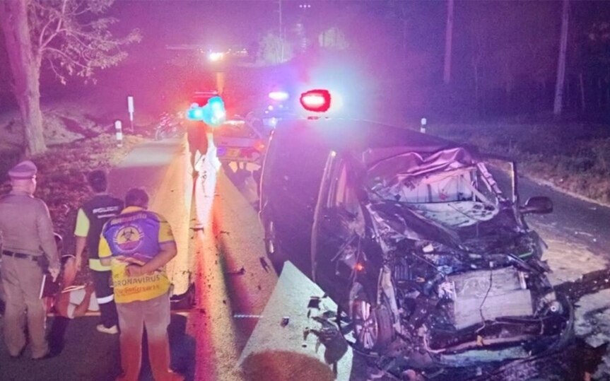 Duell mit elefant und deutschem minivan in chonburi zwei verletzte personen und ein toter elefant