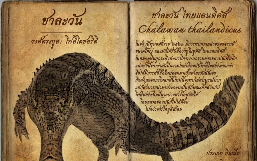 Chalawan thailandicus fossilien zum nationalschatz erklaert