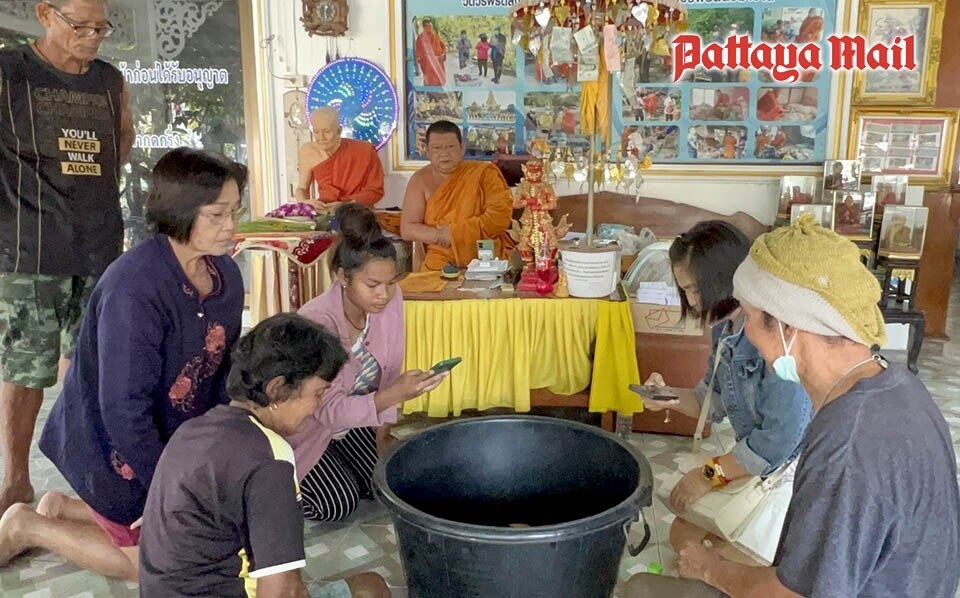 Seltene Gold- und Schwarzaale verzaubern Besucher des heiligen Tempels in Chonburi