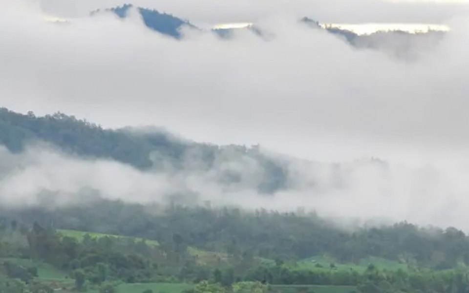 Chiang mai und nordthailand verzeichnen einen starken rueckgang der waldbraende