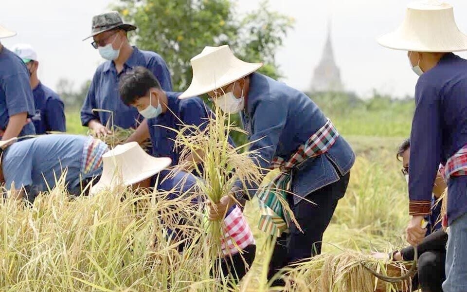 Der verborgene Kampf der übersehenen Arbeitskräfte Thailands