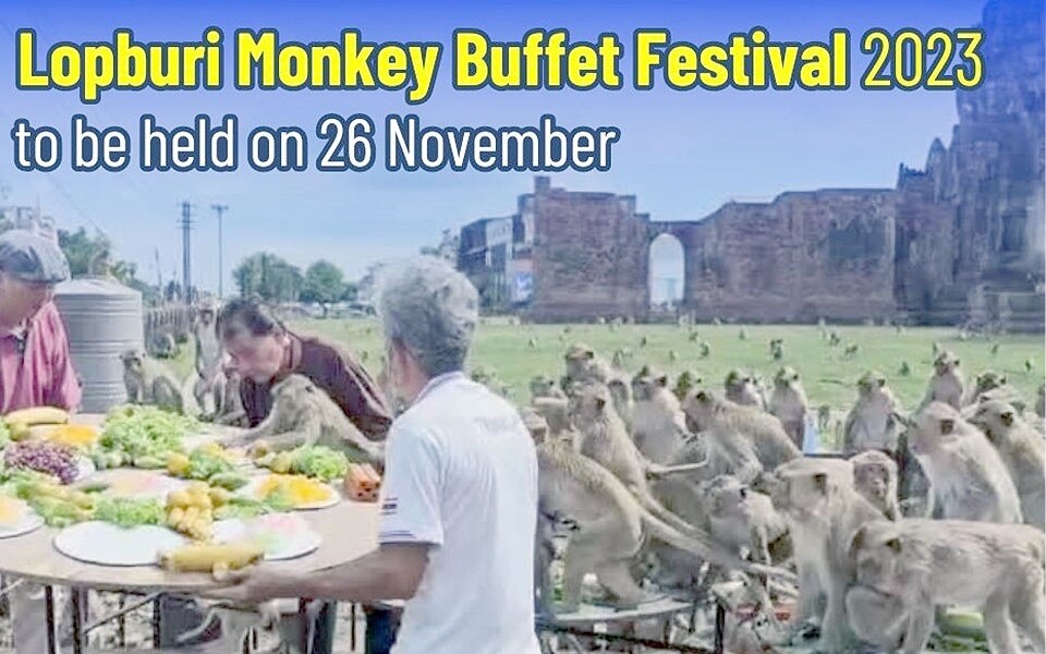 Lopburi monkey buffet festival 2023 diesen sonntag