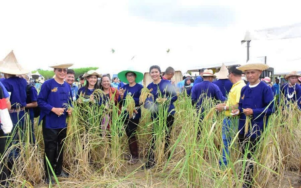 Songkhla startet die initiative cherished paddies zur foerderung des tourismus