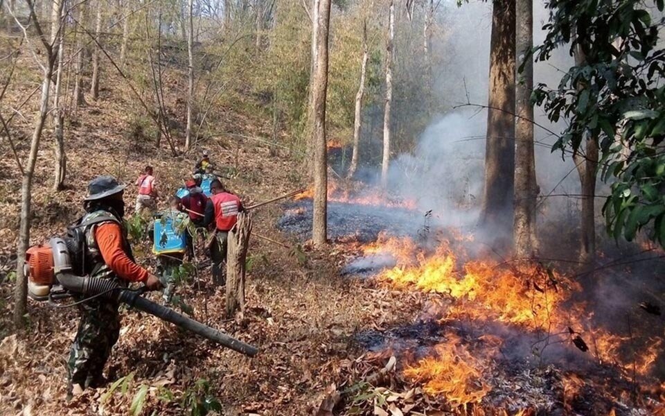 Thailand und kambodscha arbeiten gemeinsam an der bekaempfung von waldbraenden