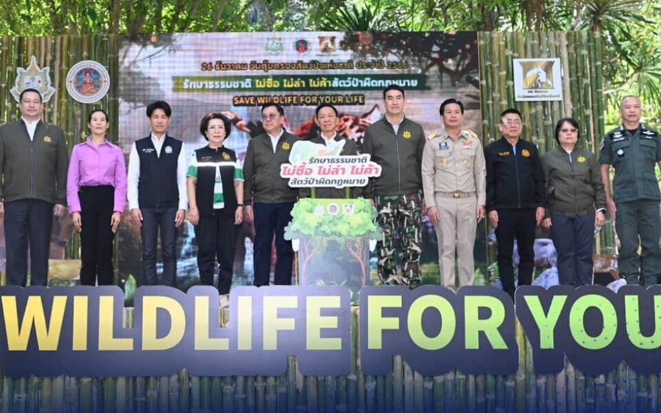 Thailand verstaerkt seine bemuehungen gegen den handel mit wildtieren