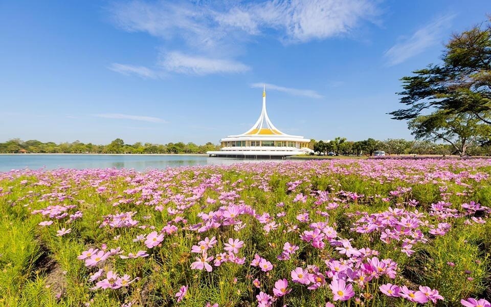 Beautiful flora in the suan luang rama ix park fair 2023 bis 10 dezember