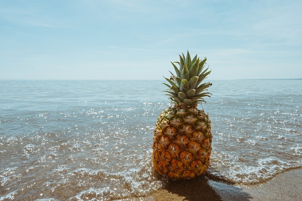 Erfahre, wie du Ananas genießen kannst, ohne dass es die Zunge verbrennt