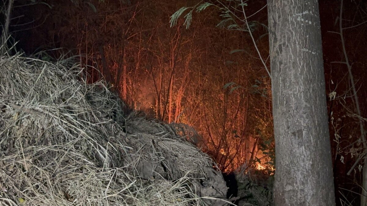 Besorgnis über Waldbrand in Pattaya: Kloster in Gefahr - Feuerwehreinsatz erforderlich