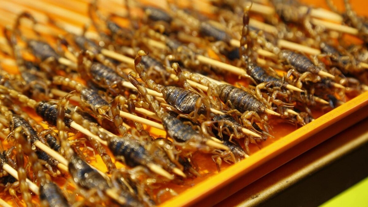 Insekten als nachhaltige Nahrungsquelle: Thailändische Bauern profitieren