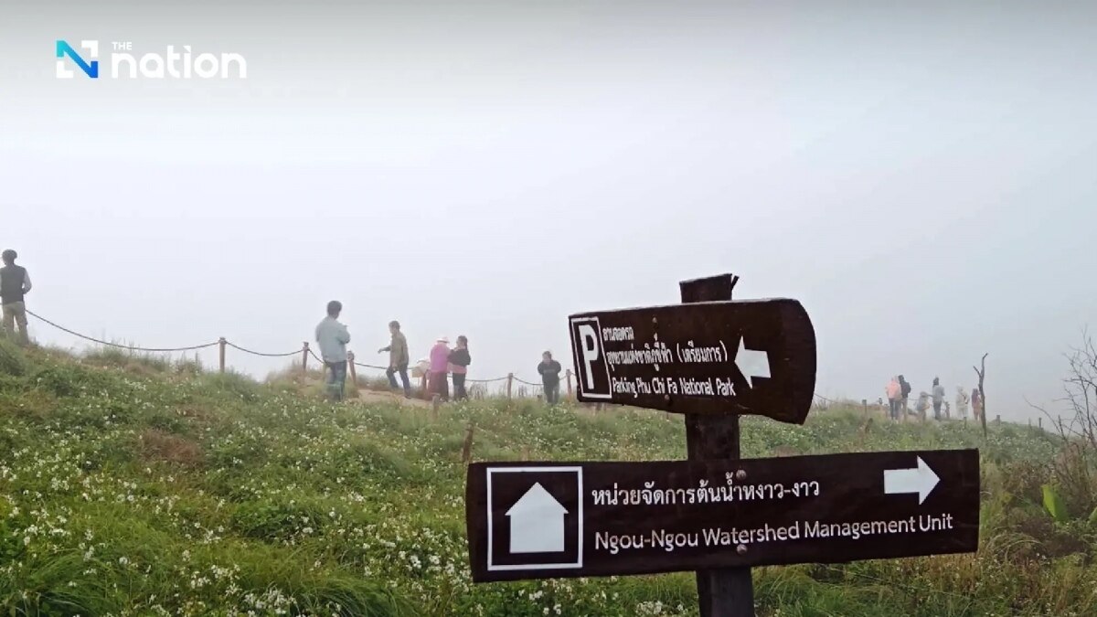 Thailand Wettervorhersage: Sonnig und kühl, Gewitter im Süden