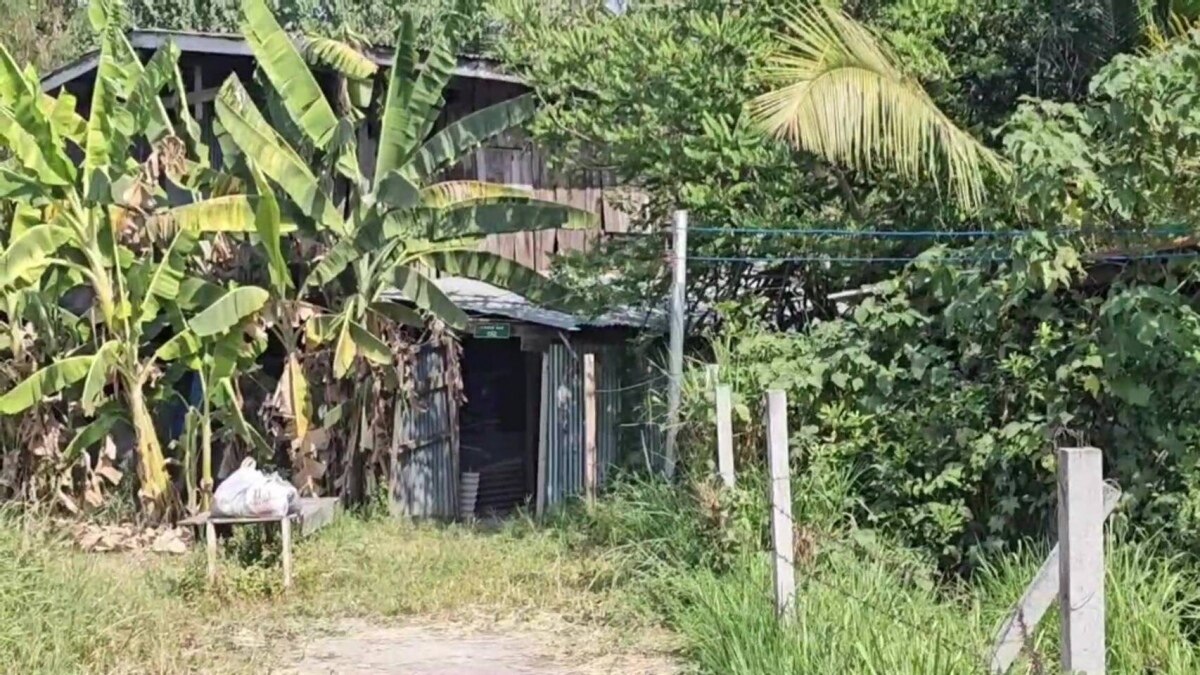 Unheilvoller Hundeangriff in Saraburi: 84-jähriger Mann stirbt nach Angriff durch eigenes Haustier