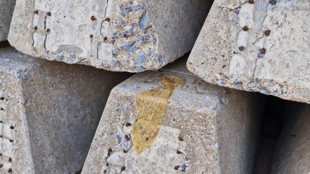 Gebrauchte Kondome in der Nähe des Bahnhofs gefunden: Zweifel am familienfreundlichen Image Pattayas