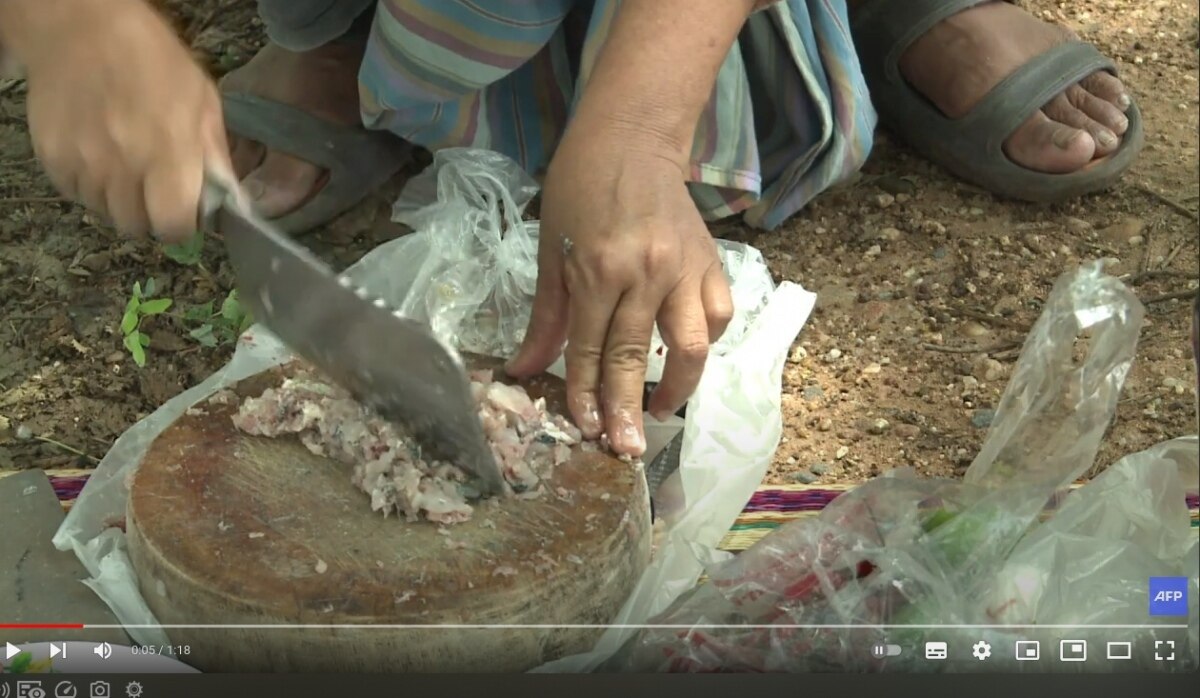 20.000 Tote pro Jahr: Gefährliche Isaan Fisch-Spezialität (Video, Fotos)