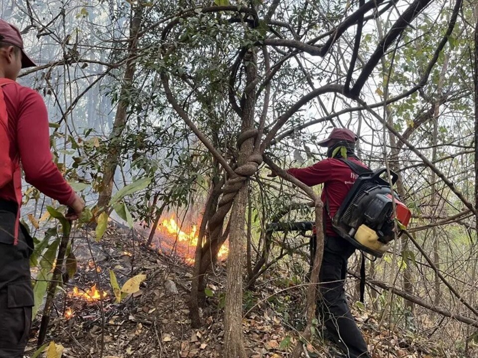 Dringende Maßnahmen gegen Waldbrände: Premierministerin mobilisiert Behörden in Thailand