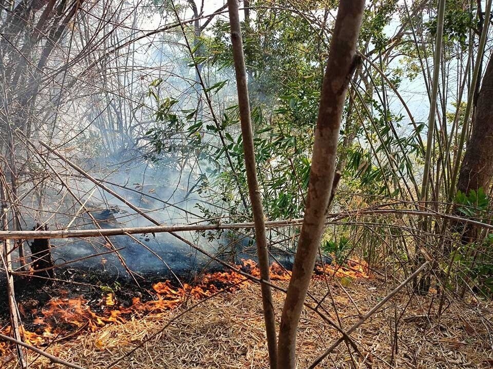 Der Khao Phra Viharn Nationalpark in Sisaket bleibt wegen eines Waldbrandes geschlossen