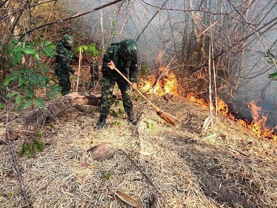 Der Khao Phra Viharn Nationalpark in Sisaket bleibt wegen eines Waldbrandes geschlossen