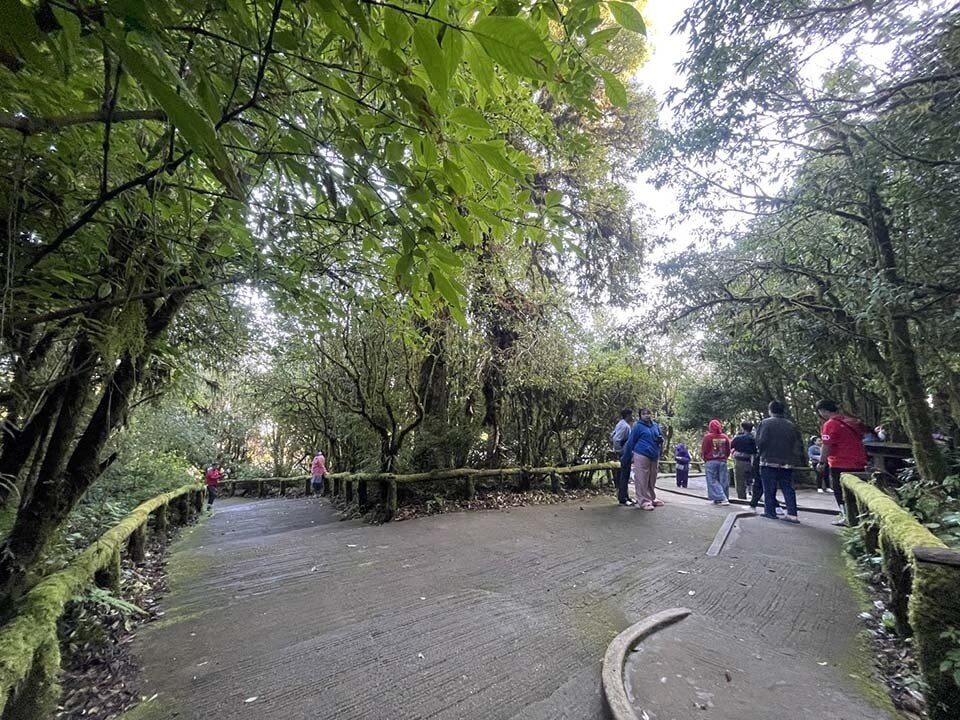 Erfrischendes Wetter in Doi Inthanon: Temperatur sinkt auf 10°C und zieht Touristen an trotz Nebel