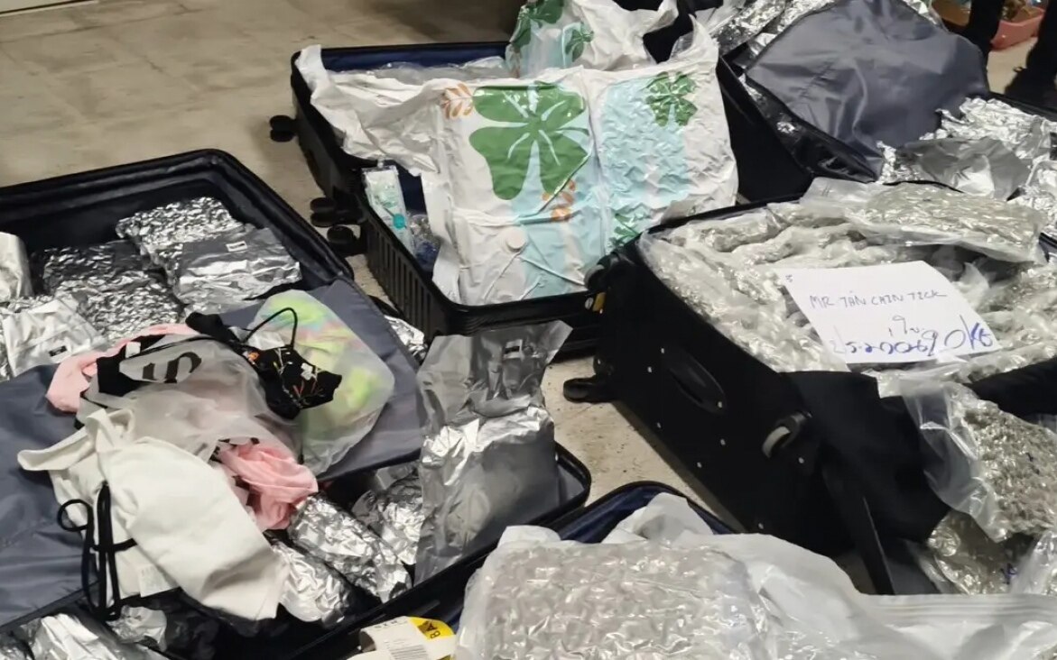 Massive cannabisbeschlagnahmung am flughafen samui vier auslaender festgenommen