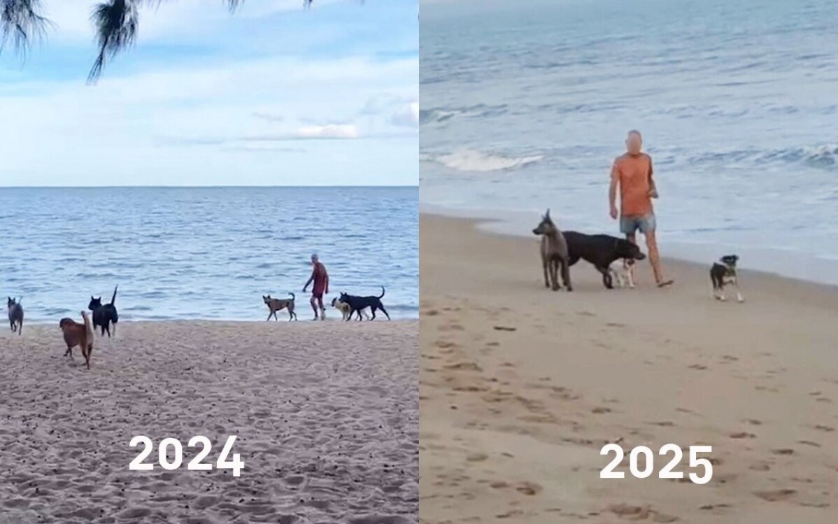 Schweizer Hundebesitzer sorgt für Angst und Aufregung am Suan Luang Beach in Thailand