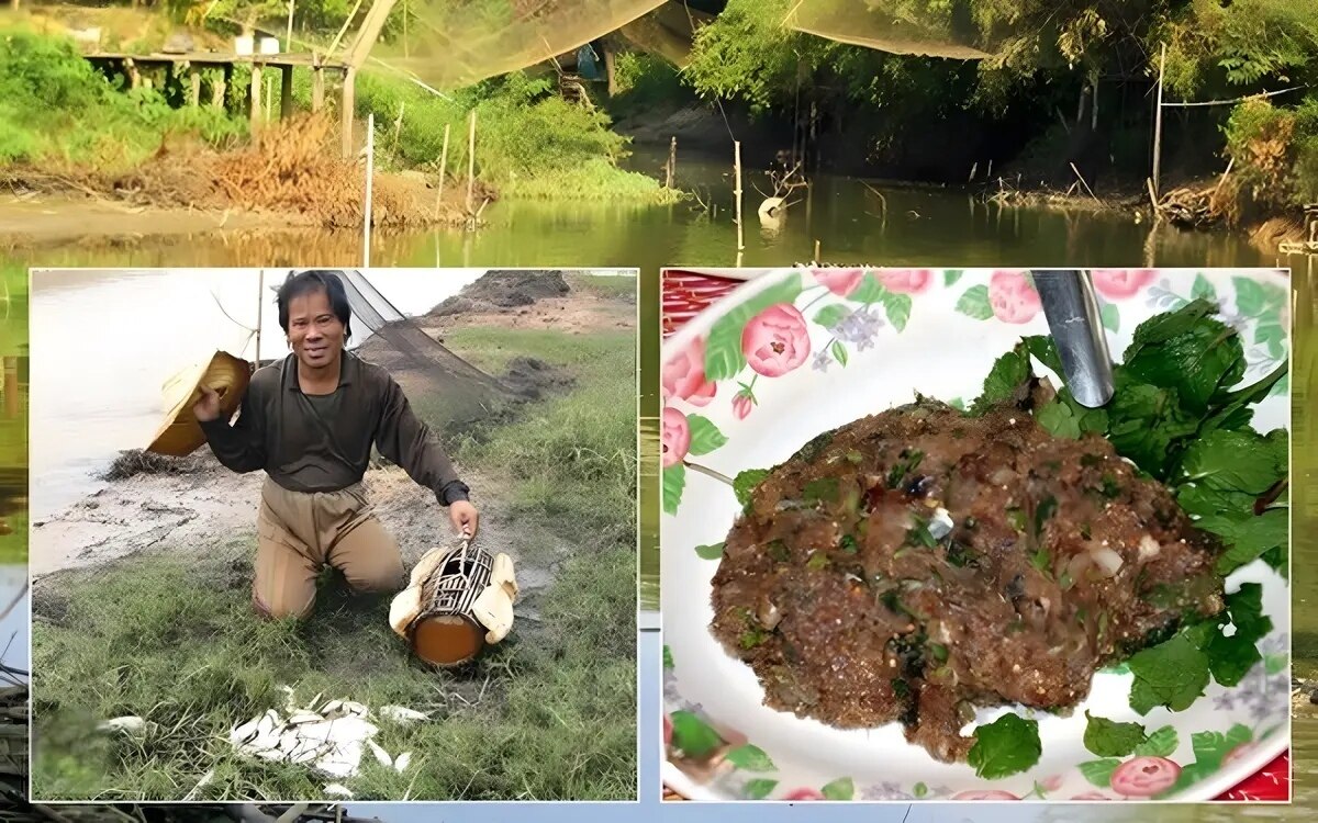 20 000 tote pro jahr gefaehrliche isaan fisch spezialitaet video fotos