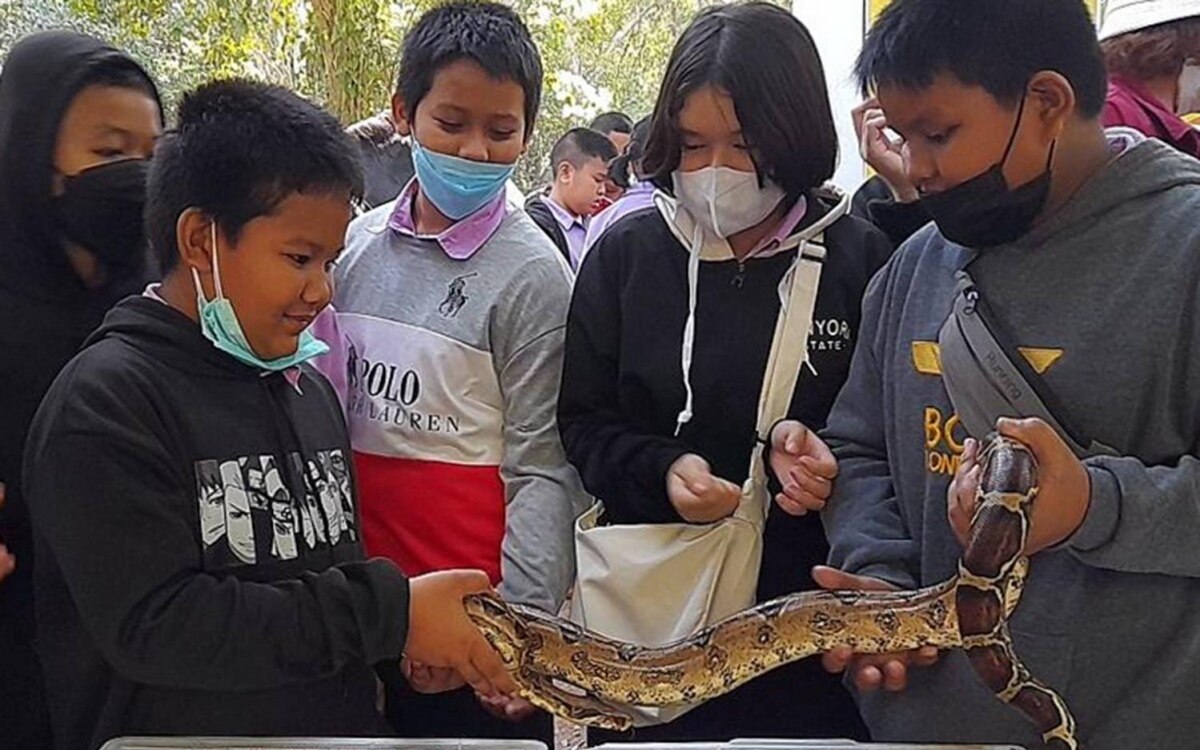 Agenturen zur bekaempfung des handels mit wildtieren