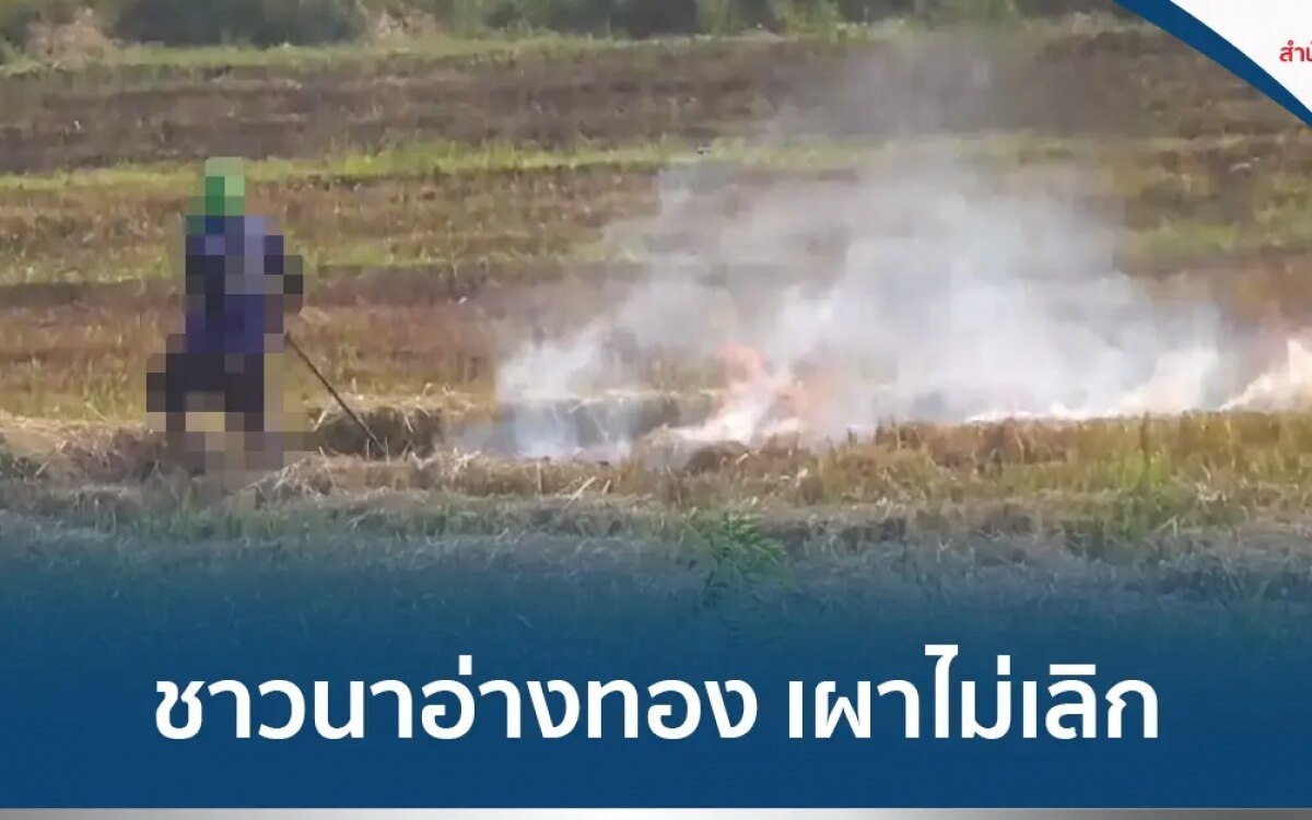 Ang Thong sieht sich mit PM2,5-Anstieg konfrontiert, da Landwirte weiterhin Ernten verbrennen