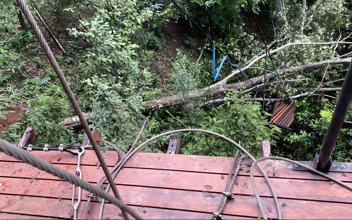 Ausländer Tourist beim Ziplining in Chiang Mai von umstürzendem Baum getötet