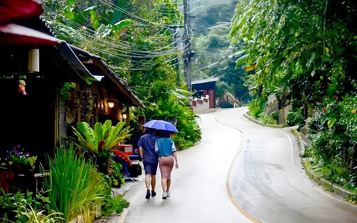 Chiang mai phetchabun und nan stehen ganz oben auf der wunschliste der menschen fuer die regenzeit