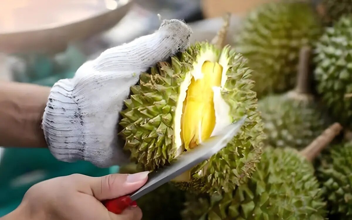 Chinesische Durian-Begeisterung stimmt thailändische Exporteure optimistisch