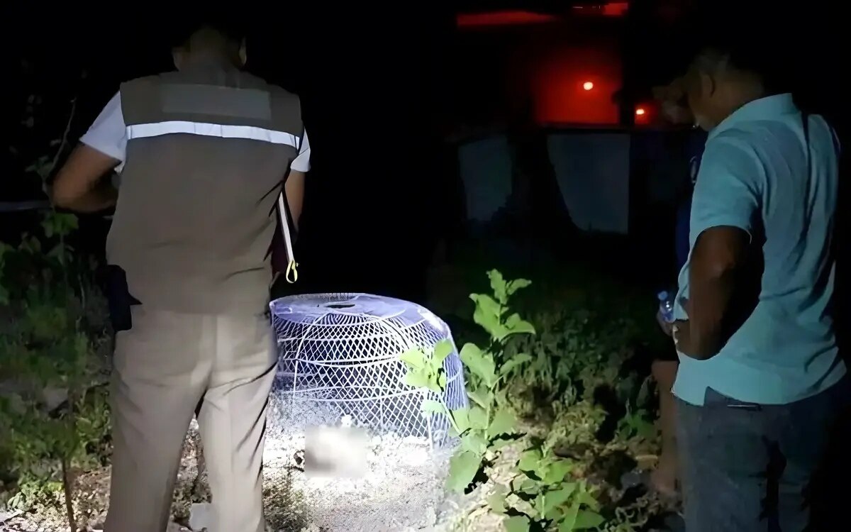 Chon buri menschenteile im dunklen hinterhof gefunden ein weiterer stueckelmord