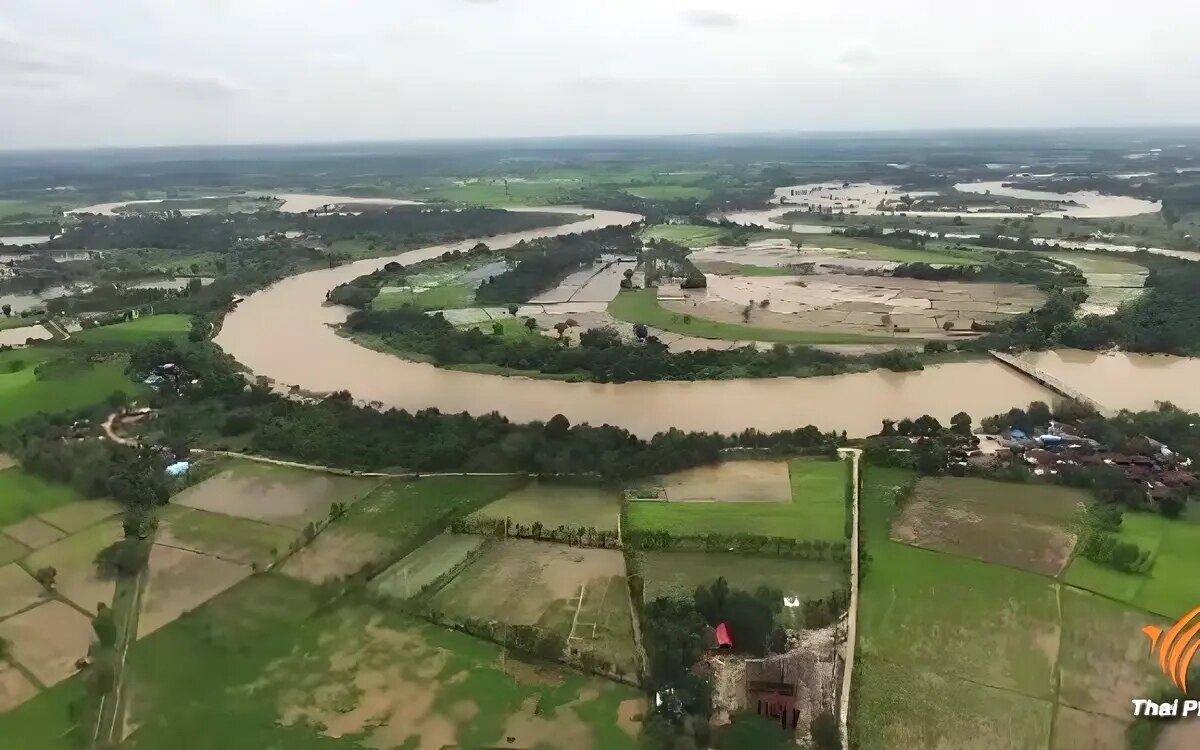 Dammwasser soll landwirten bei der zweiten reisernte helfen