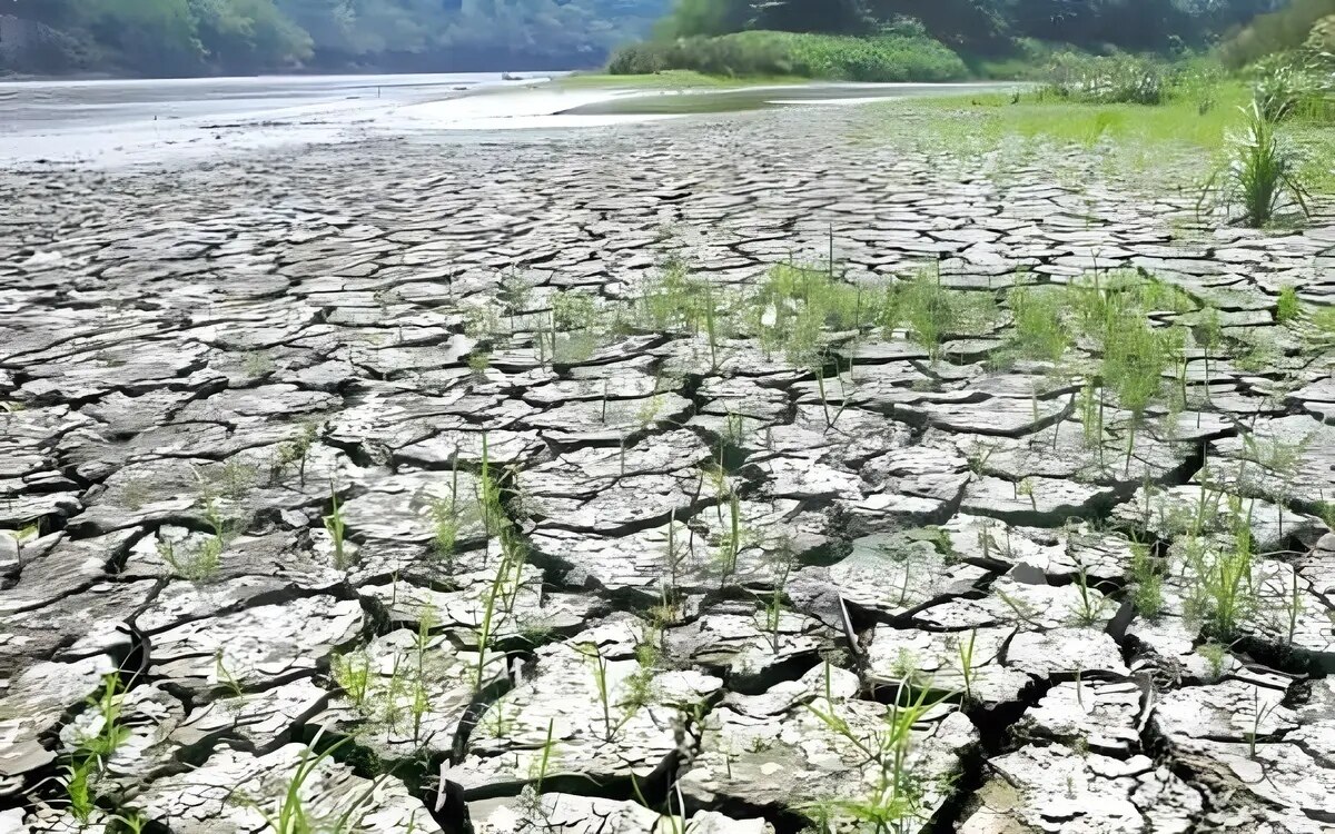 Die Bemühungen zur Regenerzeugung beginnen, um dem drohenden El Nino entgegenzuwirken